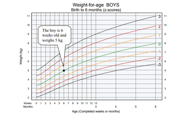 Esempio Grafico peso età OMS