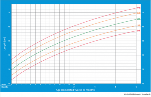 It Curve Di Crescita E Percentili Che Cosa Sono Junia Pharma